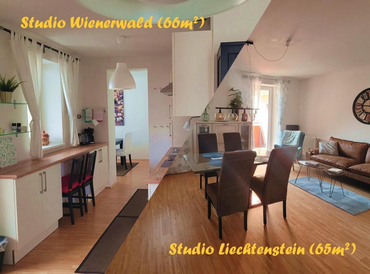 Studios Am Wienerwald Hinterbrühl Exterior foto